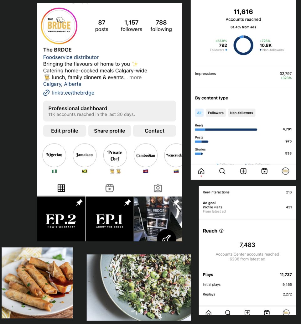 The BRDGE Instagram profile, food photography and professional dashboard results
