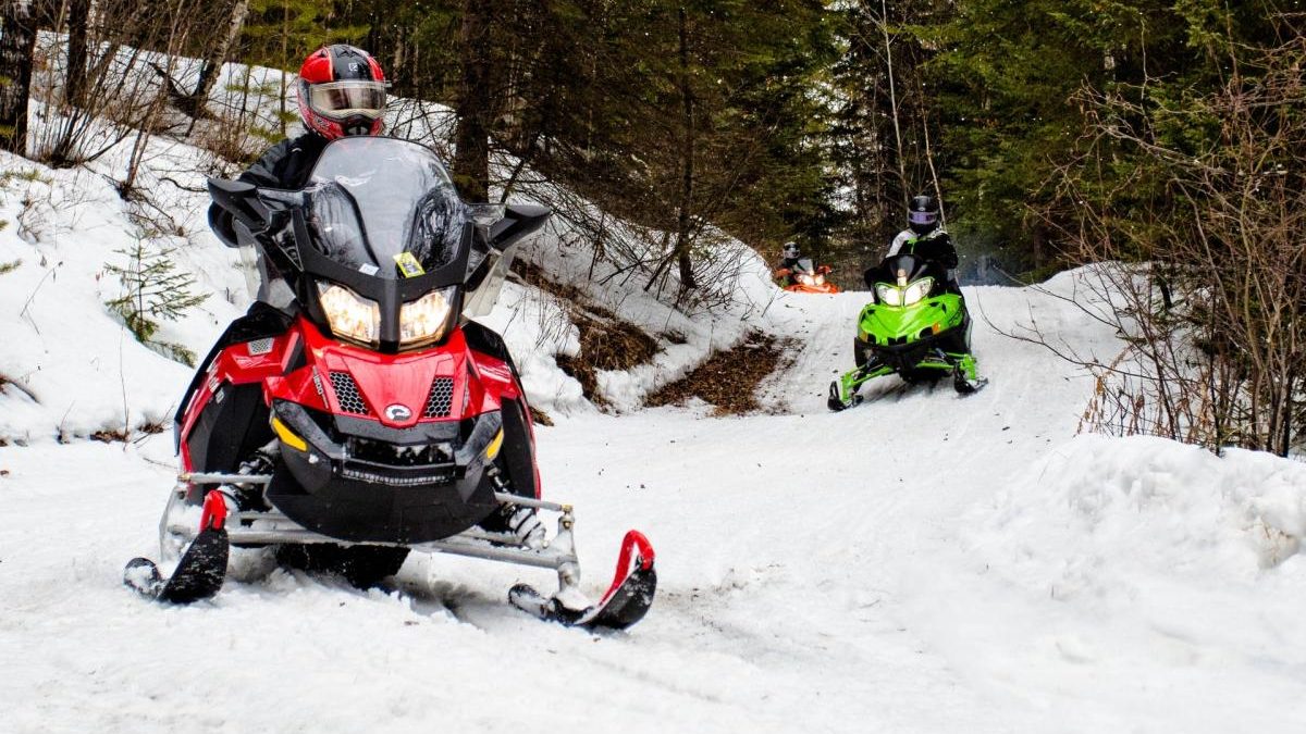 Snowmobiles riding a snowy forest trail