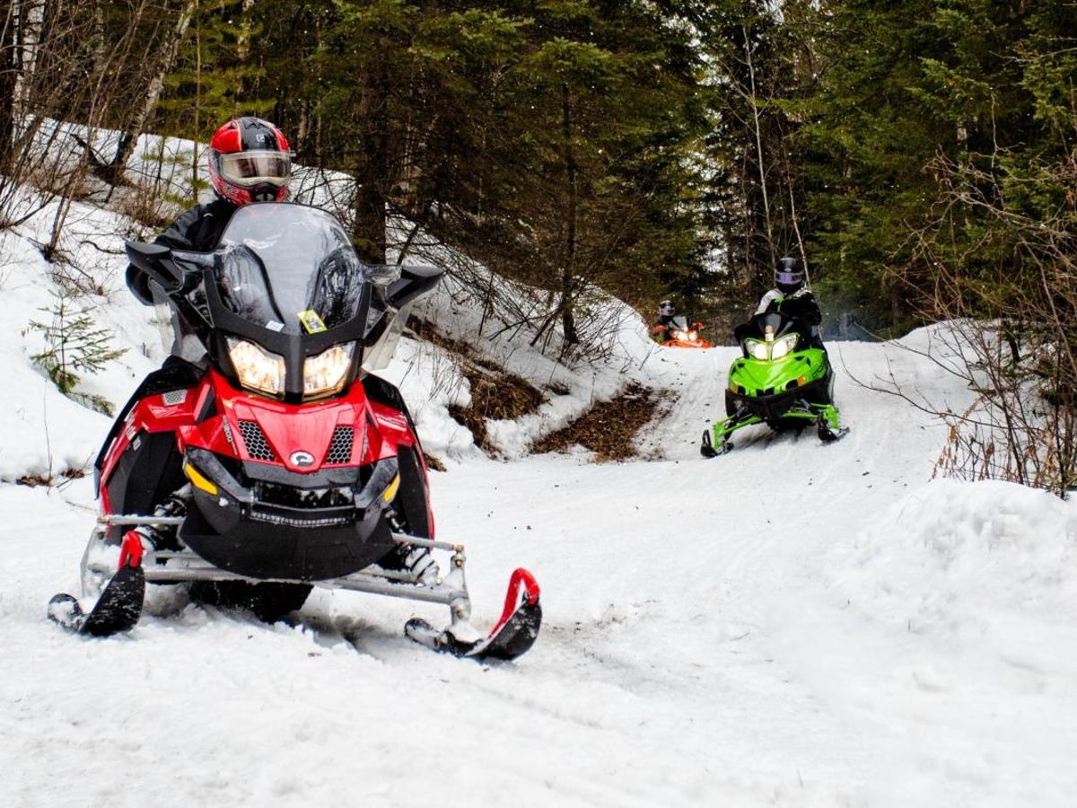 Snowmobiles on a forest trail